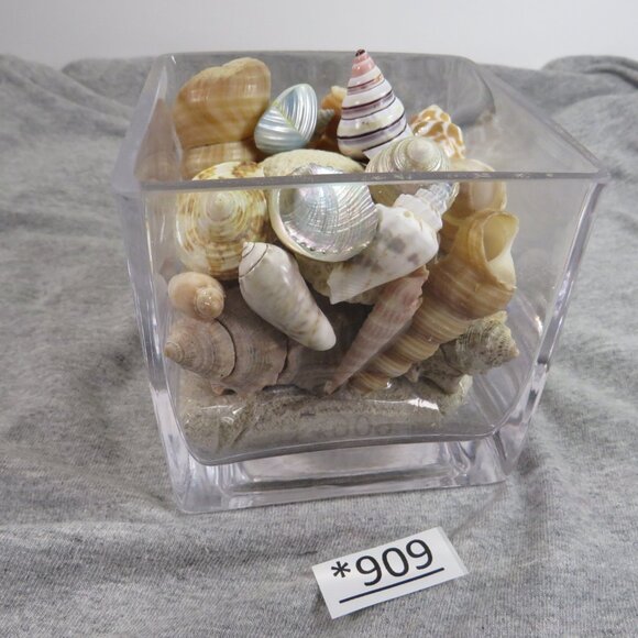 REAL Sea Shells in a Glass Square Vase and sand #10 Larger - Picture 1 of 13